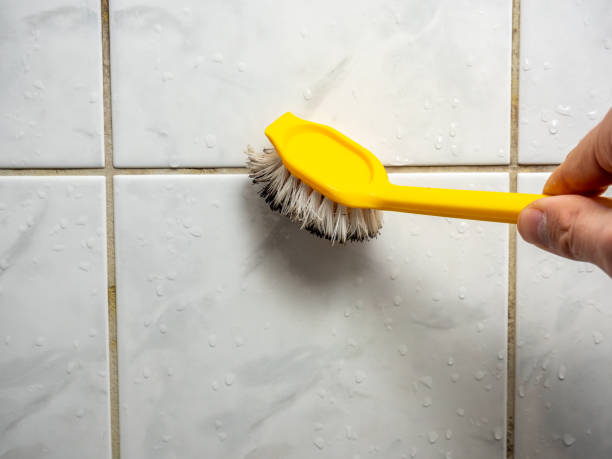 Best White Mold Remediation in Ontario, CA